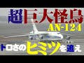 【成田空港】トロいのには”ワケ”があった!世界最大の量産貨物機アントノフAn-124の出発準備から離陸までを徹底追跡してみた!