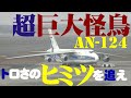 【成田空港】トロいのには”ワケ”があった！世界最大の量産貨物機アントノフAn-124の出発準備から離陸までを徹底追跡してみた！