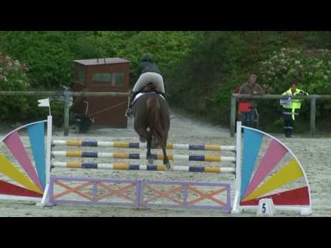 Mostaza LS- jumping horse by Montebello La Silla