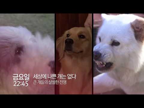 <strong>EBS</strong> 목금 프로그램 <strong>안내</strong> (10월 4주)_SB