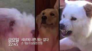 EBS 목금 프로그램 안내 (10월 4주)_SB