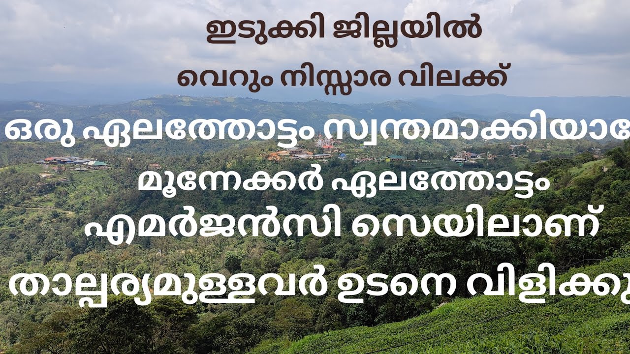 ഒരു മൂന്നേക്കർ ഏലത്തോട്ടം വെറും നിസ്സാര വിലക്ക് സ്വന്തമാക്കിയ