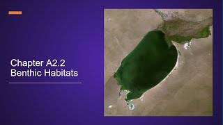 Chapter A2.2 Benthic Habitats