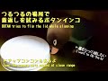 つるつるの場所で蓋返しを試みるボタンインコ