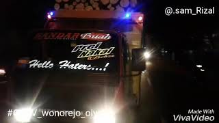 OLENG KAPTEN ....   Sengon bergoyang....  maaokk