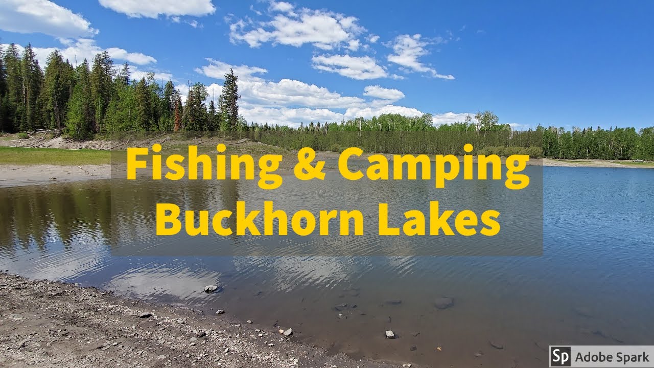 18 Camping and Fishing Buckhorn Lakes YouTube