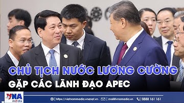 Chủ tịch nước Lương Cường gặp các lãnh đạo APEC - VNAMedia