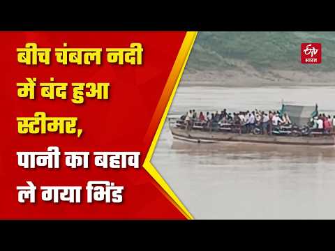 बीच Chambal नदी में बंद हुआ Steamer, पानी का बहाव ले गया भिंड, 100 से ज्यादा यात्रियों में हड़कंप