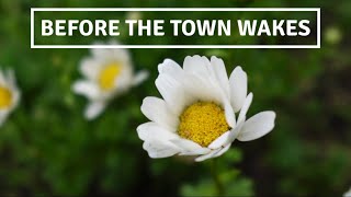 Before the town wakes #nature #mindfulness #balance #meditation #calm #concentration