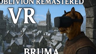 A VR Walk In Bruma // The Elder Scrolls IV: Oblivion Remastered + Praydog's UEVR Mod!