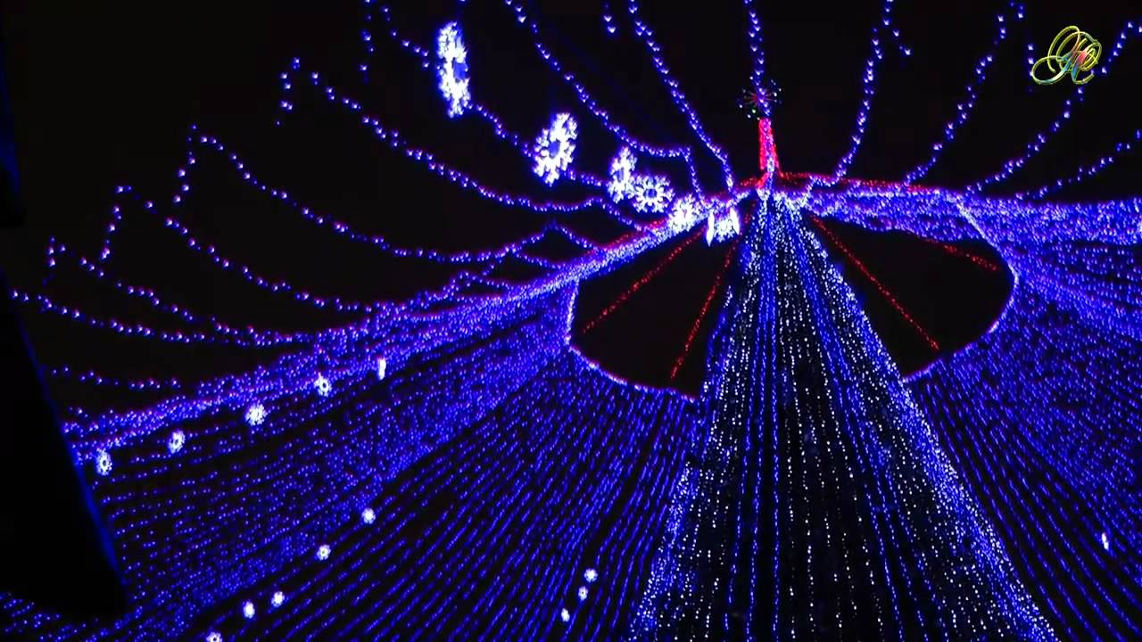 Новый Год Белгород Фото Новый Год Белгород Фото