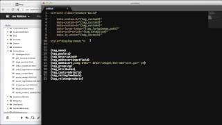 Celebrity Business Catalyst Tips and Tricks | 3 - Continue Building Data Container Net Worth