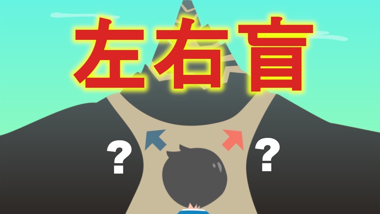 左右 盲 セルフ チェック