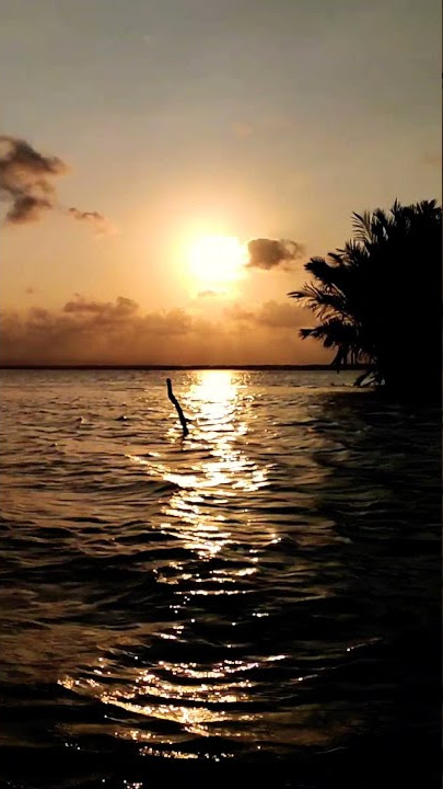 Story wa sunset #shorts