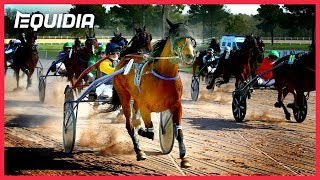 Vidéo de la course PMU PRIX DES SABLES D'OLONNE