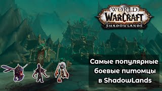 Самые лучшие и популярные боевые питомцы в World of Warcraft: ShadowLands