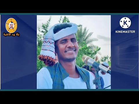 جاهل تب قائم الفنان بله ودالاشبه