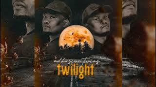 Adhesive Twins - Soulful Twilight (Album) 2021