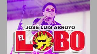 José Luis Arroyo &quot;EL LOBO&quot;🐺- TE DI MI AMOR 🫶