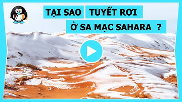 TẠI SAO TUYẾT RƠI Ở SA MẠC SAHARA ?