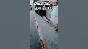 اللهم اجعل القرآن ربيع قلوبنا ونور صدورنا#اكسبلور#راحة_نفسية ##راحة_نفسية # #القارئ ماهر المعيقلي