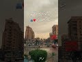 ذي كل مرة أجيلك أمشيح ب ه وأشتكيلك هم ي المنصورة Fyp Reelsinstagram Explorepage بهاء سلطان