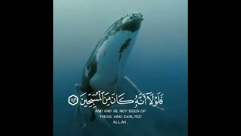 الشيخ عمير شميم || سورة الصافات || وإن يونس لمن المرسلين إذ أبق إلى الفلك المشحون