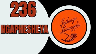NGAPHESHEYA-ICILONGO LEVANGELI 236 | ZULU HYMN OF WORSHIP | SOUTH AFRICAN GOSPEL MUSIC