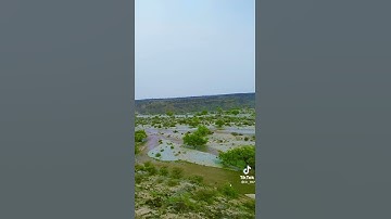 تلاوه جميله بصوت خشوع من الشيخ القارئ غالب جسار