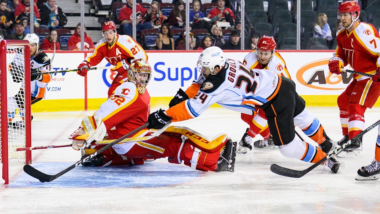 Gulls Lassoed By Wranglers In Calgary