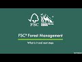 Fsc forest management what is it and next steps