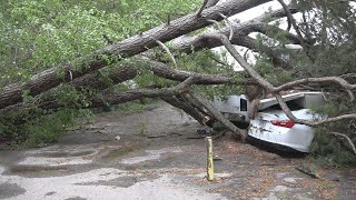 A Springfield woman looks to hold her apartment complex responsible for cars destroyed during sev...