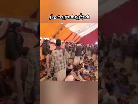 اصحاب ذمار يهجرو أحدا القبائل ب حمار الله يسامح الحج علي الذي باع البقره واشتري الحمار ههههههه