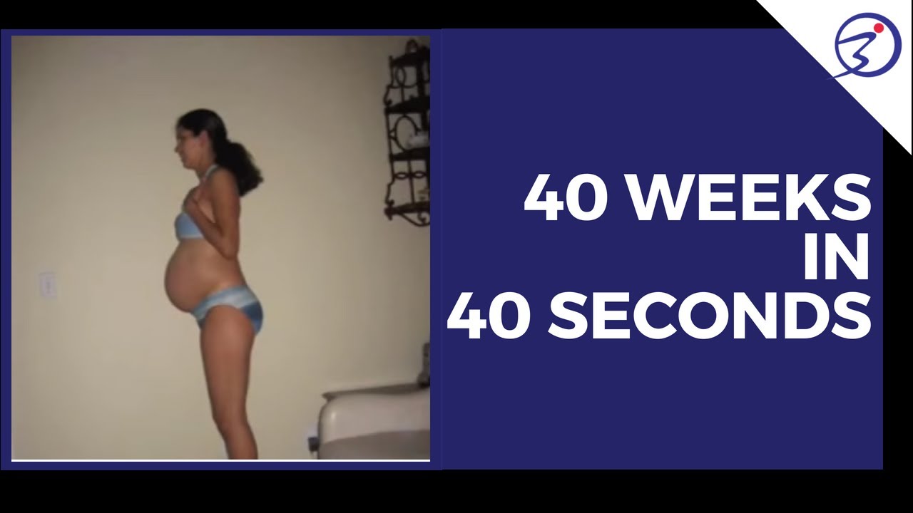 My Pregnant Belly: 40 Weeks in 40 Seconds promise rings