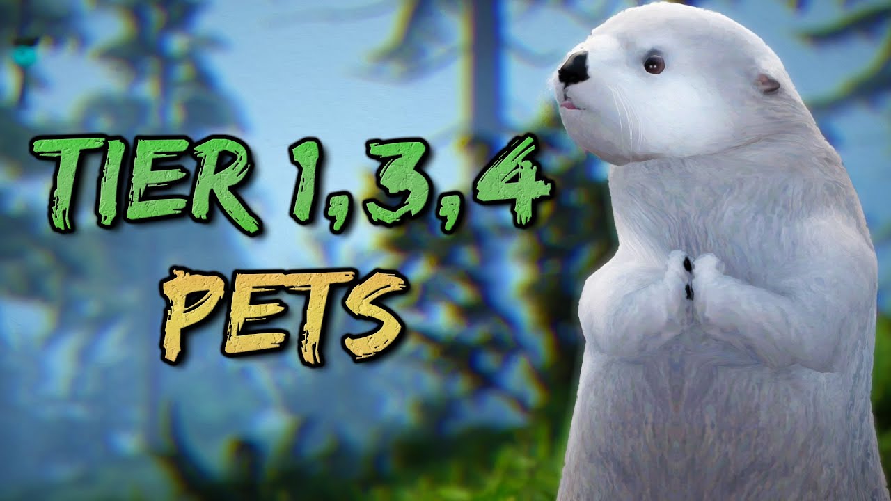 black desert online pet  New Update  Why Tier 4 Pets are NOT needed || T1 vs T3 vs T4 Trash per Hour .