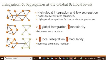 "Investigating the role of functional modularity in language recovery", Brenda Rapp
