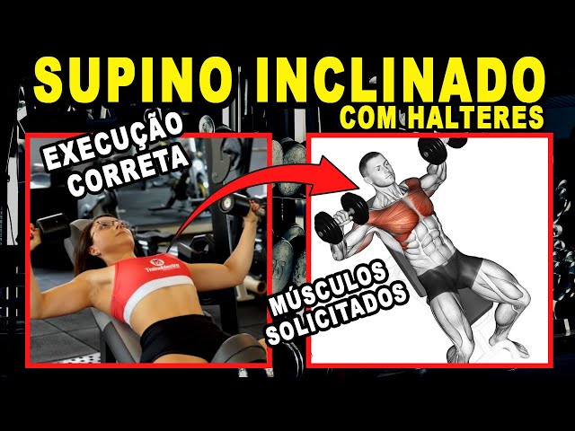 Supino vertical (sentado), como usar em seu treino! - Treino Mestre