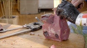 Video That Actually Does Something