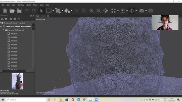 Agisoft Metashape Demo