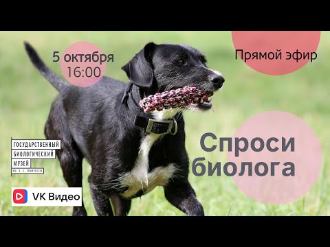 Спроси биолога. Поведение животных