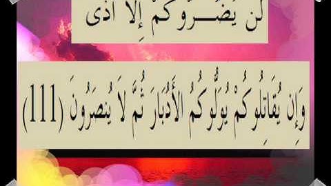 القران الكريم سورة آل عمران الأية 111