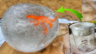 How to make ice dinosaur egg with Ants eggs
