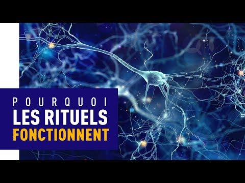 ⁉️ POURQUOI LES RITUELS SONT EFFICACES AU TRAVAIL