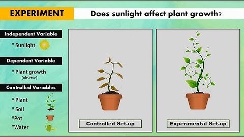 Independent, Dependent and Controlled Variables in Controlled and Experimental Set-up