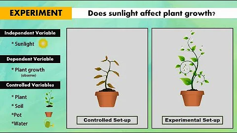Independent, Dependent and Controlled Variables in Controlled and Experimental Set-up