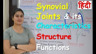 What is Synovial Joints in Hindi | Characteristics | Structure | Functions