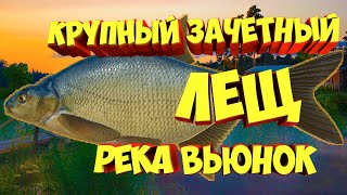 русская рыбалка 4 - Лещ река Вьюнок - рр4 фарм Алексей Майоров