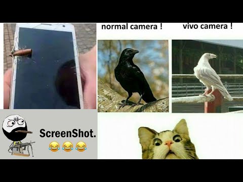 Funny memes that