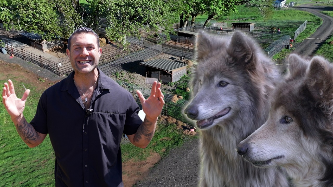 Come with me on a full tour of our new Wolf Hybrid Center
