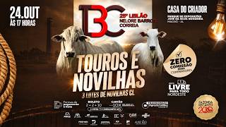 LOTE 38   IBC A1539